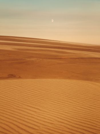 Arrakis, desert, sand Wallpaper 1620x2160