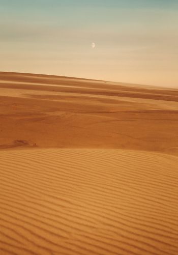 Arrakis, desert, sand Wallpaper 1668x2388