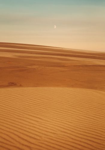 Arrakis, desert, sand Wallpaper 1640x2360