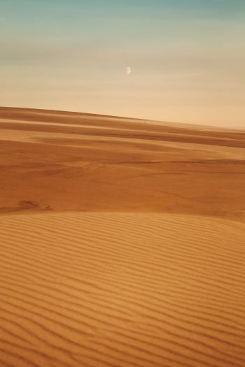 Arrakis, desert, sand Wallpaper 640x960