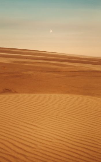 Обои 1752x2800 Арракис, пустыня, песок