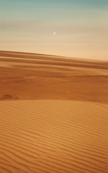 Arrakis, desert, sand Wallpaper 800x1280
