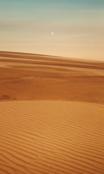 Обои 1200x2000 Арракис, пустыня, песок