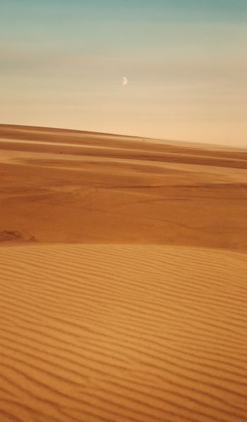 Arrakis, desert, sand Wallpaper 600x1024
