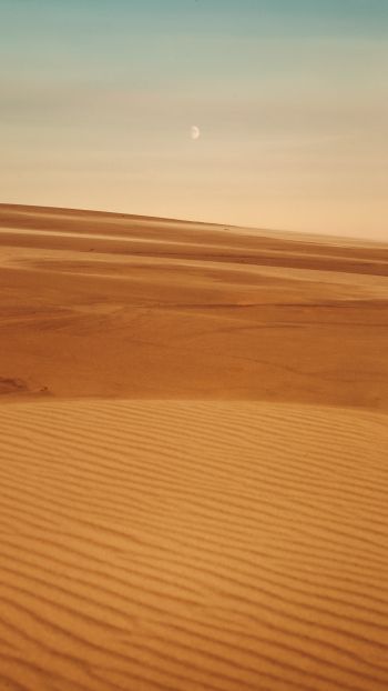 Arrakis, desert, sand Wallpaper 750x1334