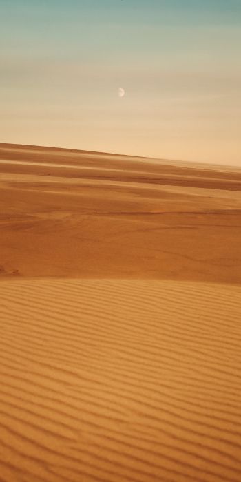 Arrakis, desert, sand Wallpaper 720x1440