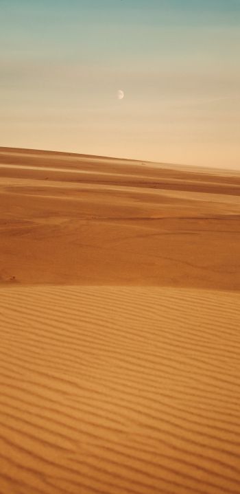 Обои 1440x2960 Арракис, пустыня, песок