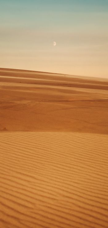 Arrakis, desert, sand Wallpaper 1440x3040