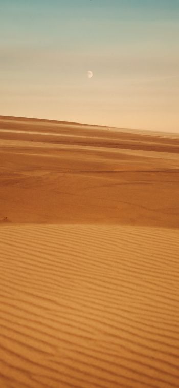 Обои 1125x2436 Арракис, пустыня, песок