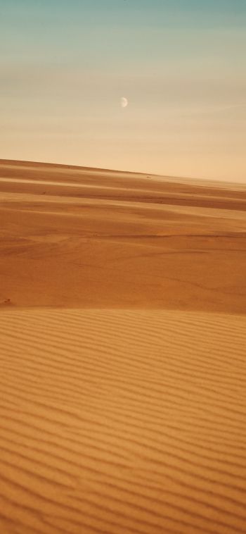 Arrakis, desert, sand Wallpaper 1080x2340