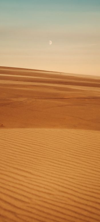 Arrakis, desert, sand Wallpaper 1440x3200