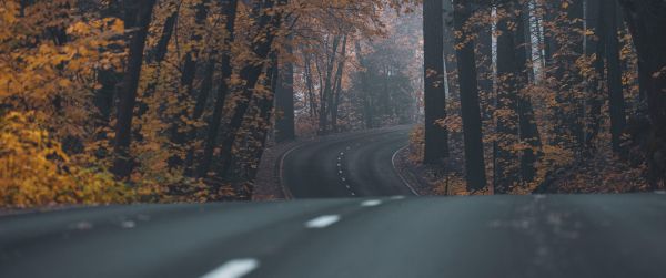 asphalt, road, highway Wallpaper 3440x1440