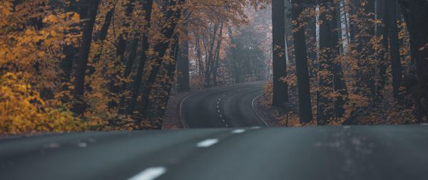 asphalt, road, highway Wallpaper 2560x1080