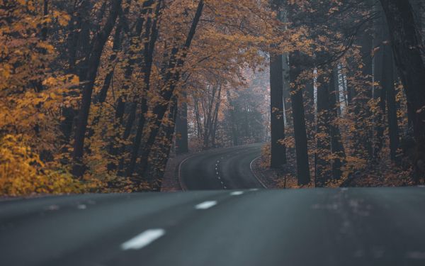 asphalt, road, highway Wallpaper 2560x1600