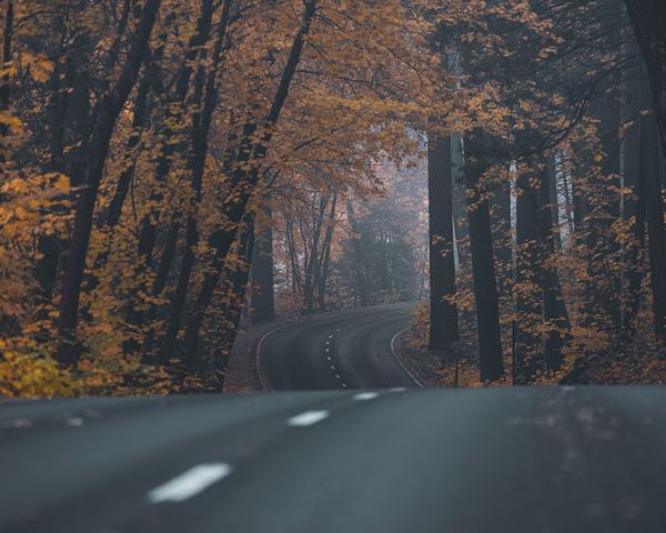 asphalt, road, highway Wallpaper 1280x1024