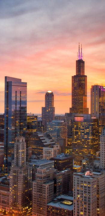 Chicago, bird's eye view, sunset Wallpaper 1080x2220