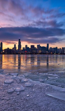 Chicago, landscape, USA Wallpaper 600x1024