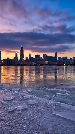 Chicago, landscape, USA Wallpaper 750x1334