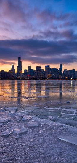 Chicago, landscape, USA Wallpaper 1080x2280
