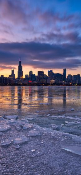 Chicago, landscape, USA Wallpaper 828x1792