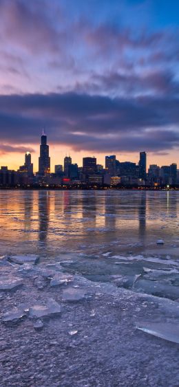 Chicago, landscape, USA Wallpaper 1080x2340