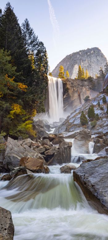 yosemite national park, waterfall, river Wallpaper 1440x3200