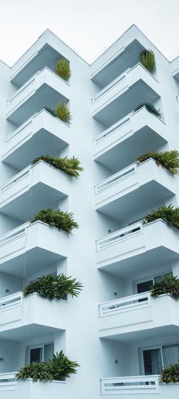 building, Tenerife, light Wallpaper 1440x3200