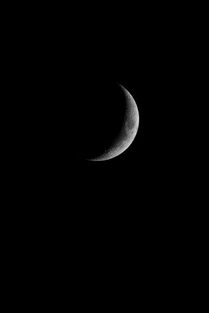 moon, night, black Wallpaper 3025x4535