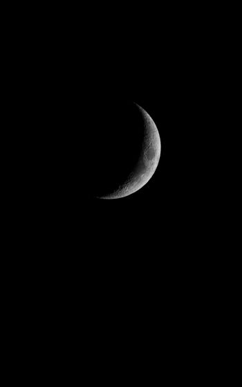 moon, night, black Wallpaper 1752x2800