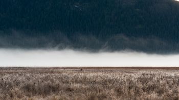 field, fog, landscape Wallpaper 3840x2160