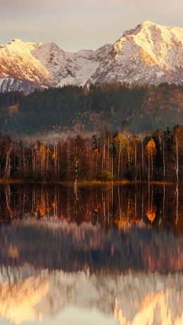 landscape, dawn, reflection Wallpaper 640x1136