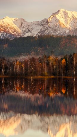 landscape, dawn, reflection Wallpaper 1440x2560