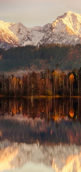 landscape, dawn, reflection Wallpaper 1080x2280