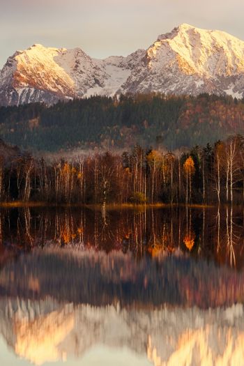 landscape, dawn, reflection Wallpaper 640x960