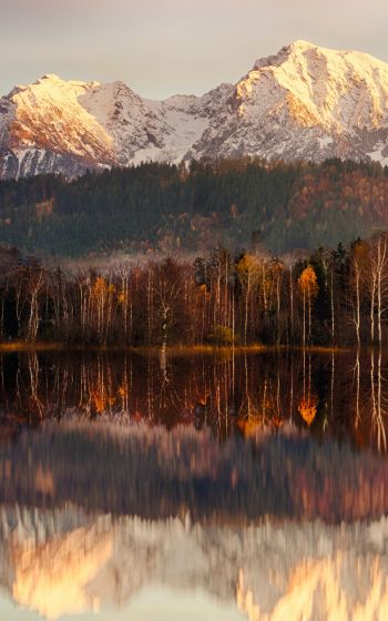 landscape, dawn, reflection Wallpaper 1600x2560