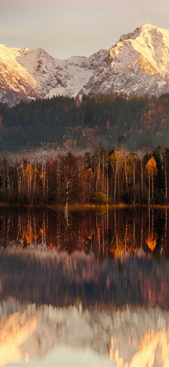 landscape, dawn, reflection Wallpaper 1125x2436