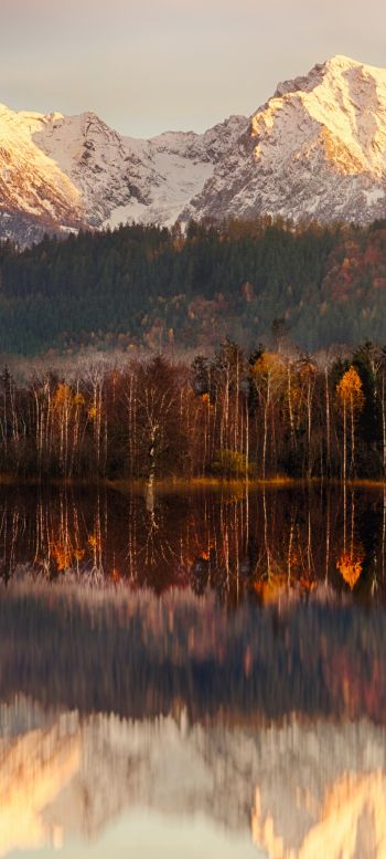 landscape, dawn, reflection Wallpaper 1440x3200