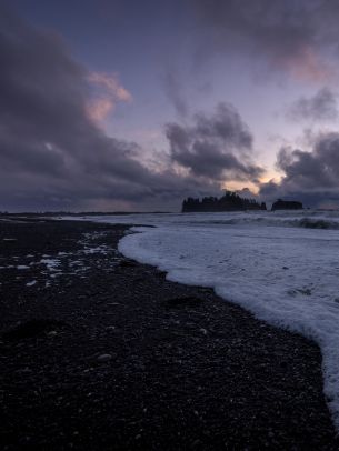 sea waves, sea foam, shore Wallpaper 1668x2224