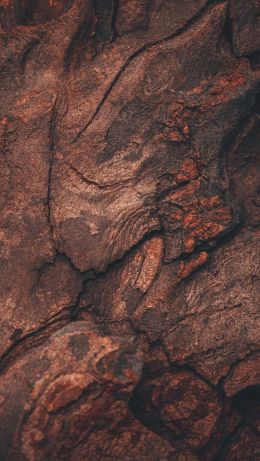 tree bark, tree, background Wallpaper 640x1136