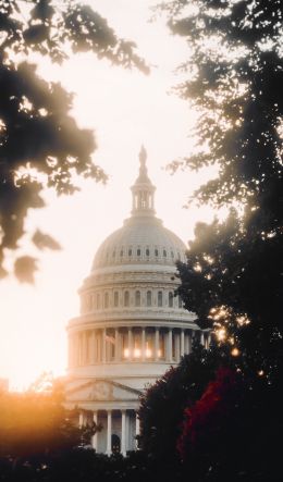 Washington, sunlight, dome Wallpaper 600x1024