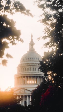 Washington, sunlight, dome Wallpaper 1080x1920