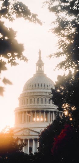 Washington, sunlight, dome Wallpaper 1440x2960