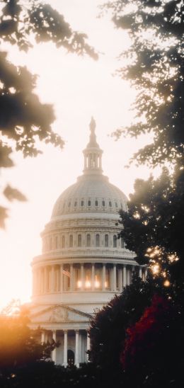 Washington, sunlight, dome Wallpaper 1440x3040