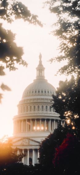 Washington, sunlight, dome Wallpaper 1125x2436