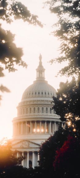 Washington, sunlight, dome Wallpaper 720x1600