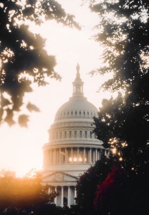 Washington, sunlight, dome Wallpaper 1640x2360