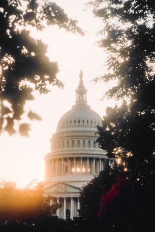 Washington, sunlight, dome Wallpaper 640x960