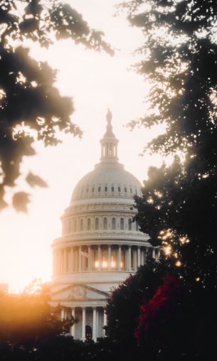 Washington, sunlight, dome Wallpaper 1200x2000