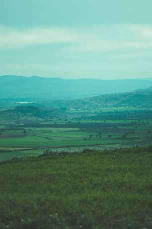 landscape, valley Wallpaper 640x960