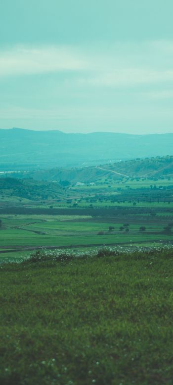 landscape, valley Wallpaper 720x1600